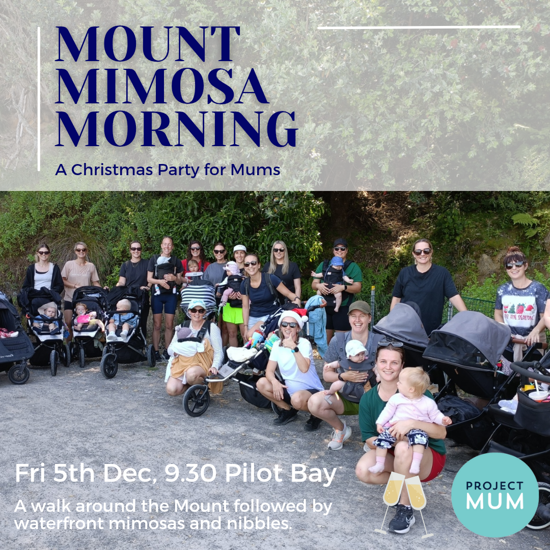 Mount Mimosa Morning