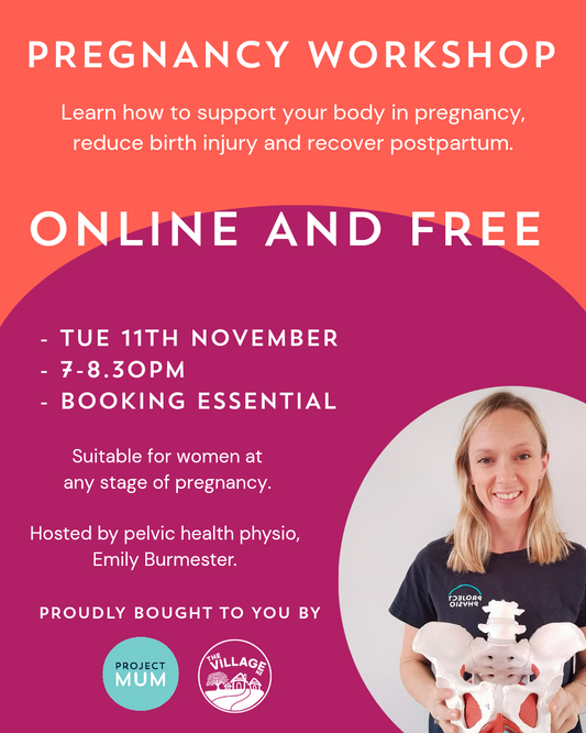 Pregnancy Workshp (ONLINE).